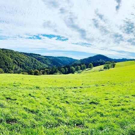 Ferienhaus Doina Gehlberg Zewnętrze zdjęcie