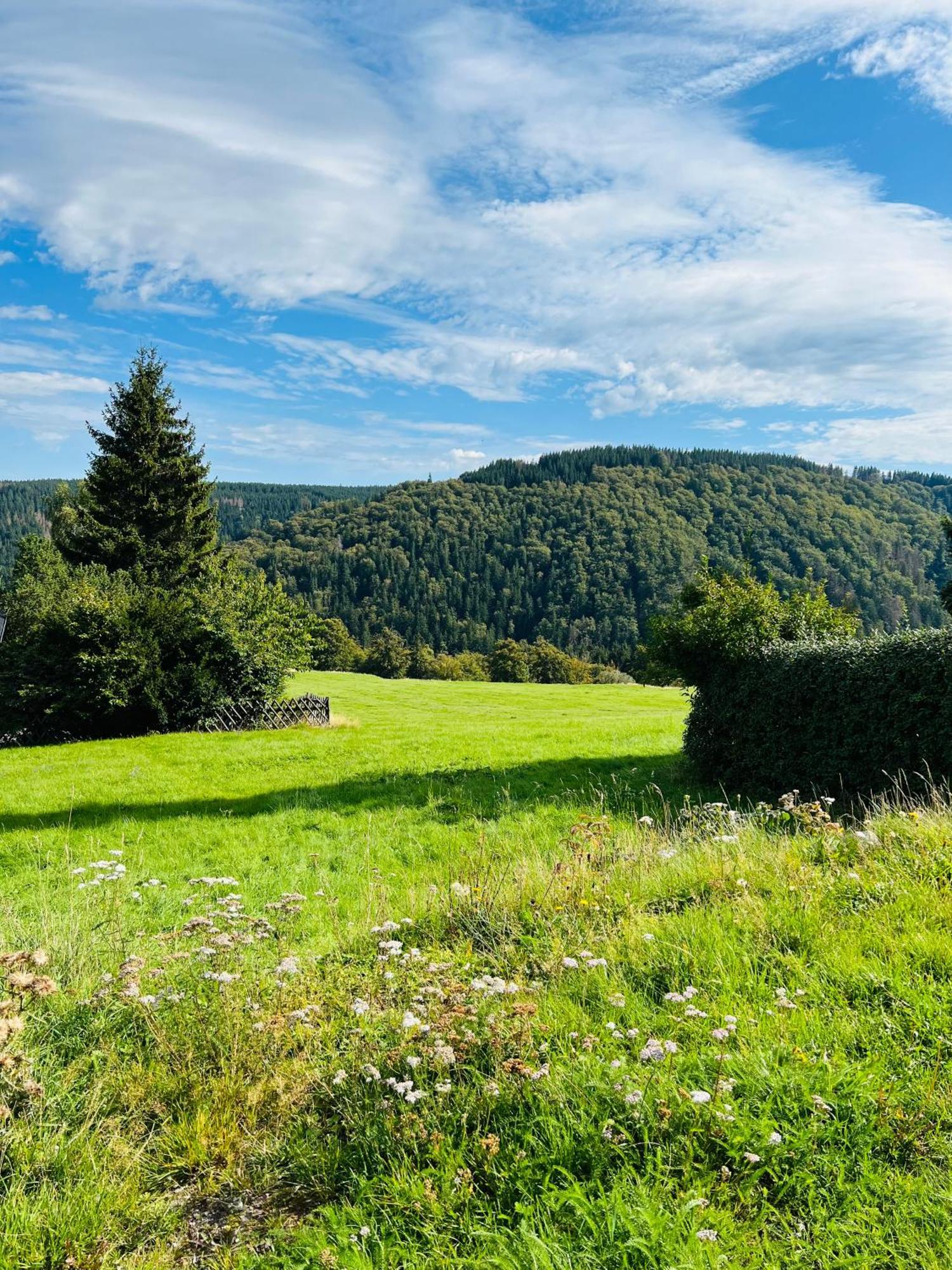 Ferienhaus Doina Gehlberg Zewnętrze zdjęcie