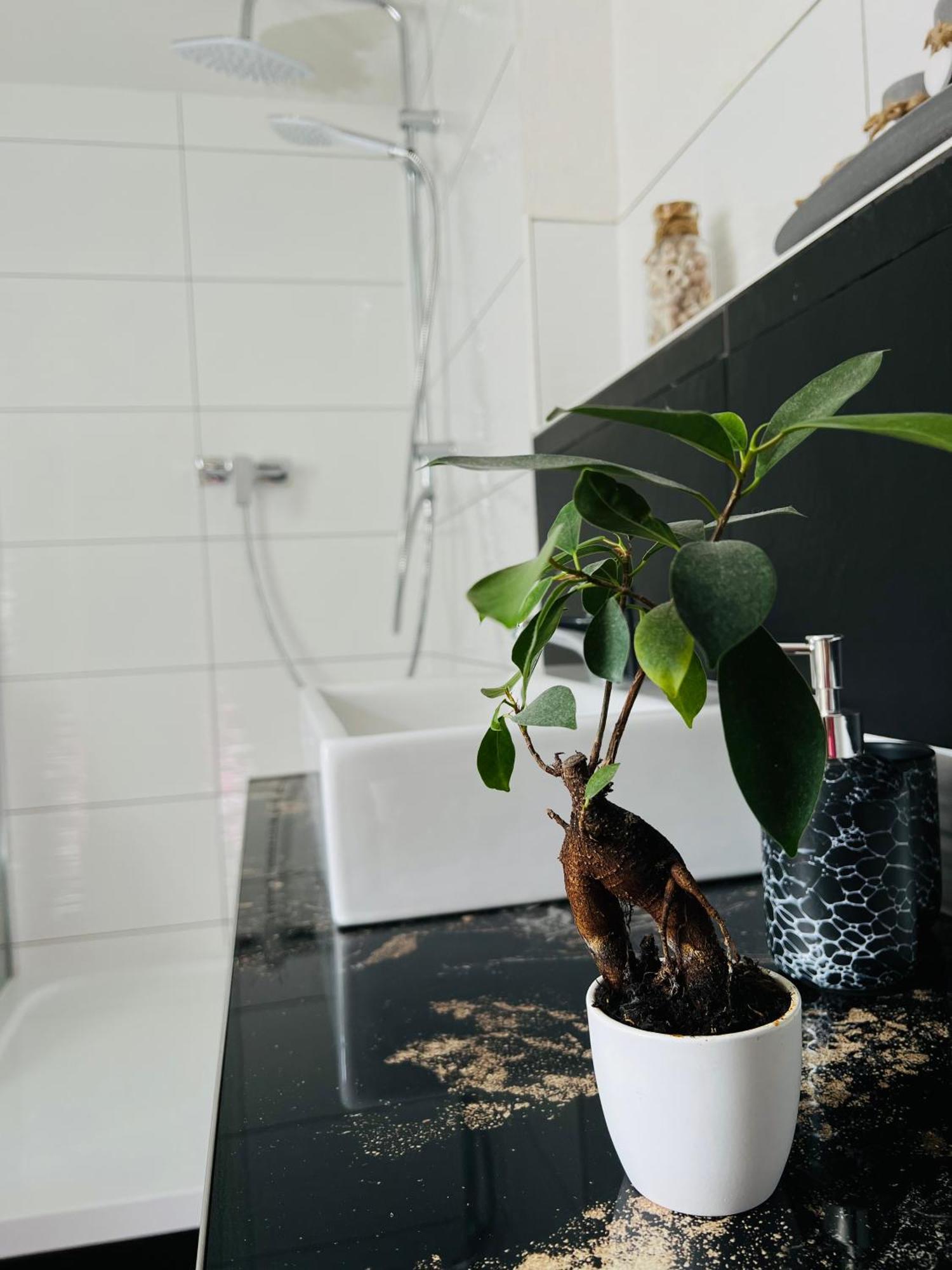 Ferienhaus Doina Gehlberg Zewnętrze zdjęcie
